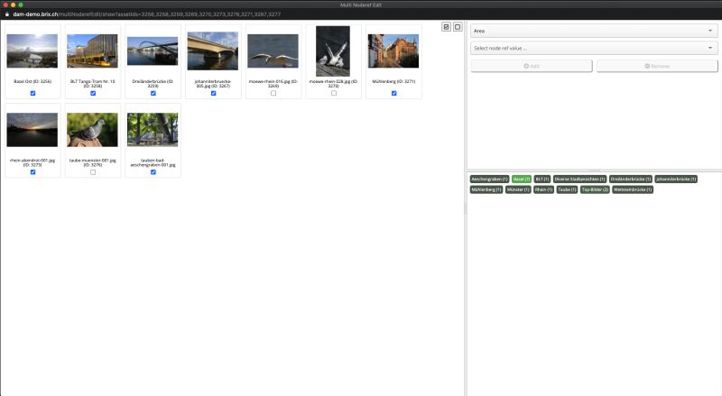 Multi Node Reference Editor Extension Brix Basel Allschwil - Retina Nature Illustrations for Desktop