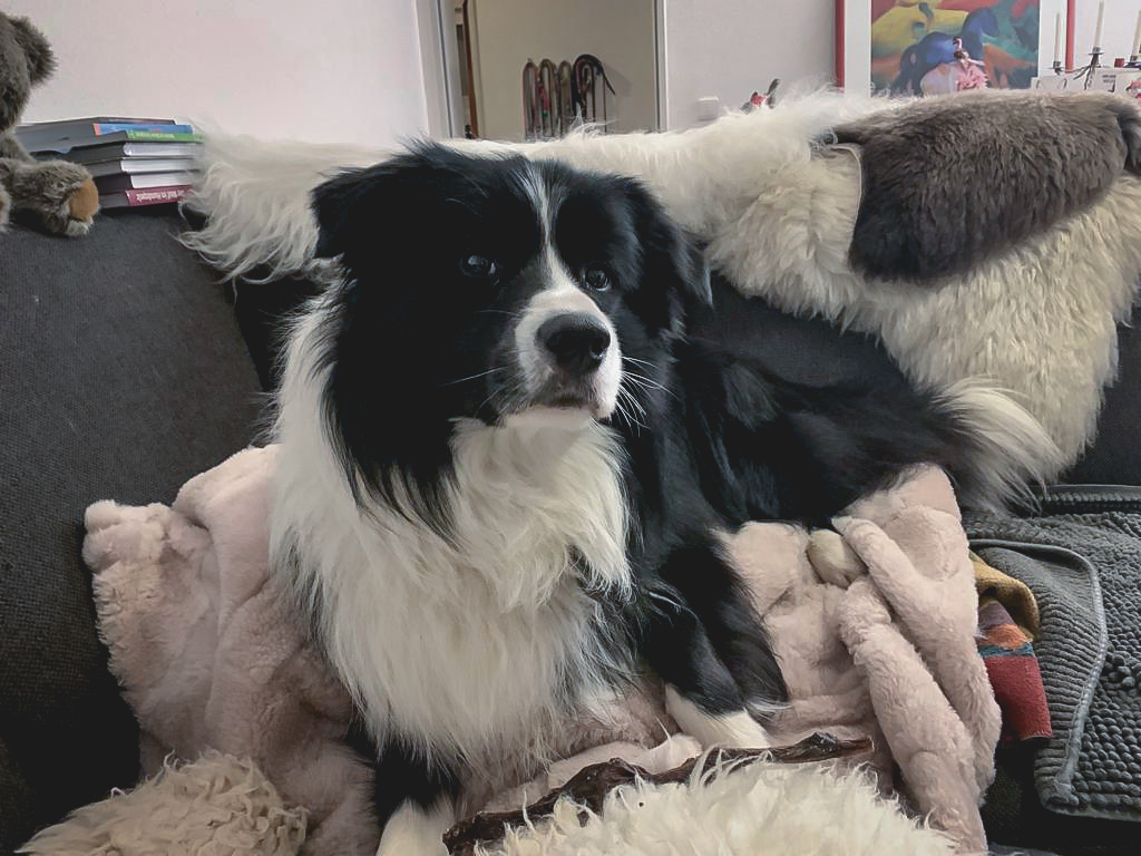 Elvis, Broadmeadows Empire State of Mind