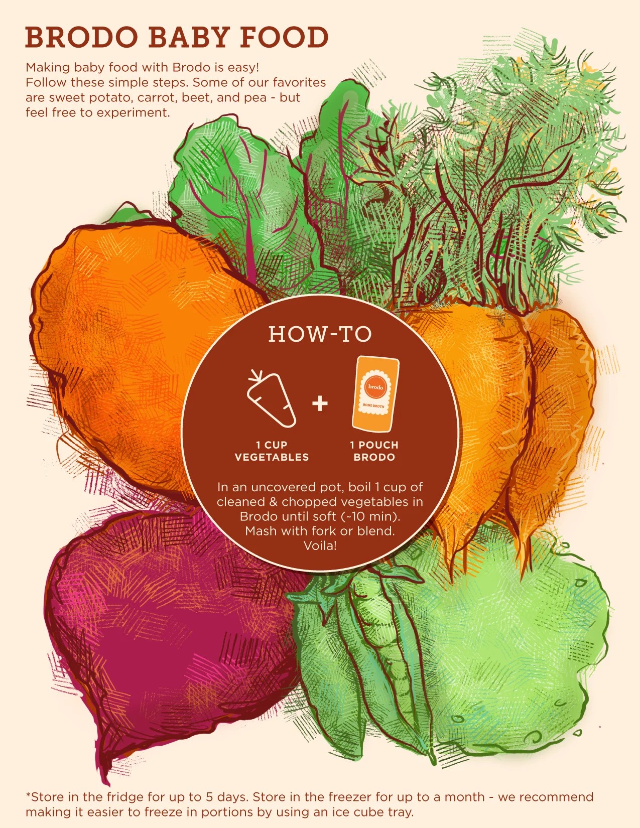 Brodo Baby Food Infographic