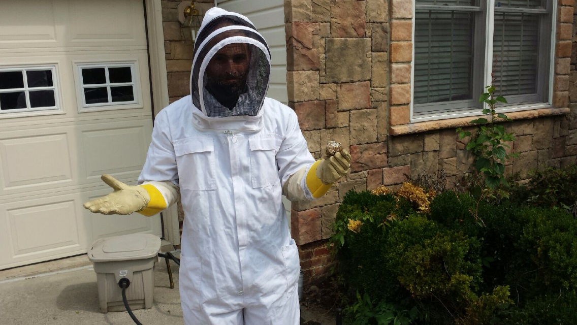 Yellow jackets' color is a warning signal: stay away!