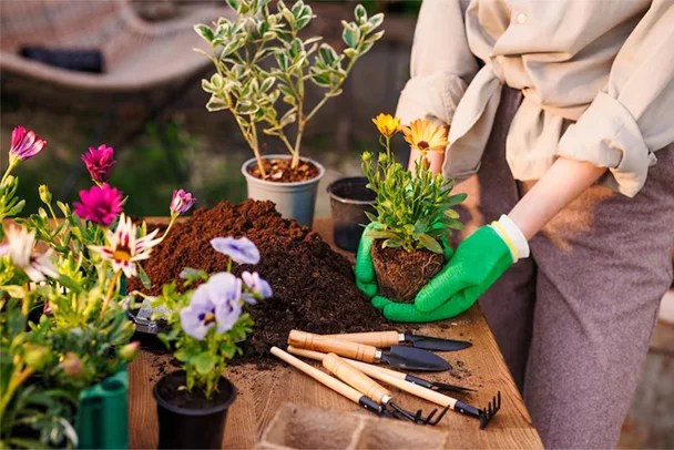 The Family Garden Plan