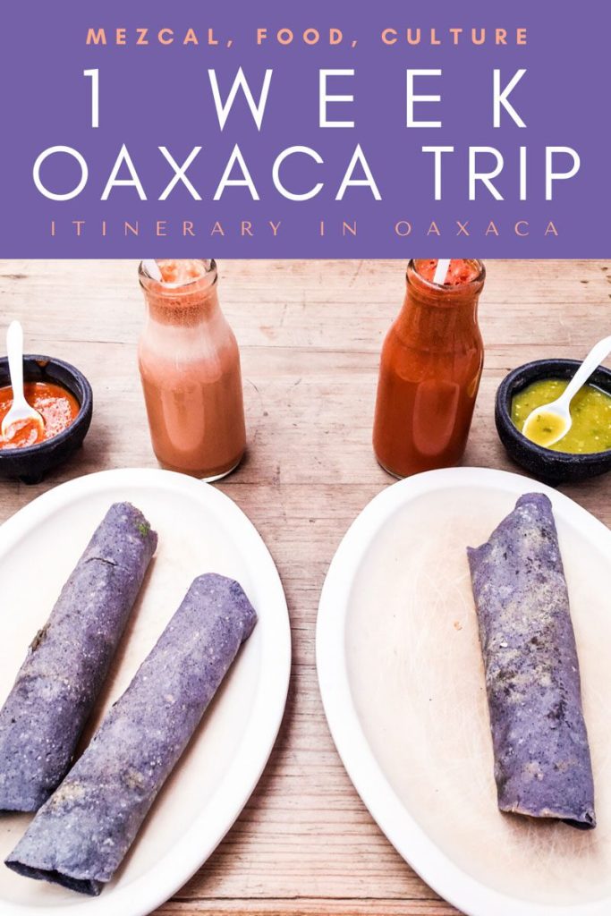 Copy of Copy of Copy of Copy of Copy of 1 week oaxaca trip_ itinerary in oaxacaLRLR