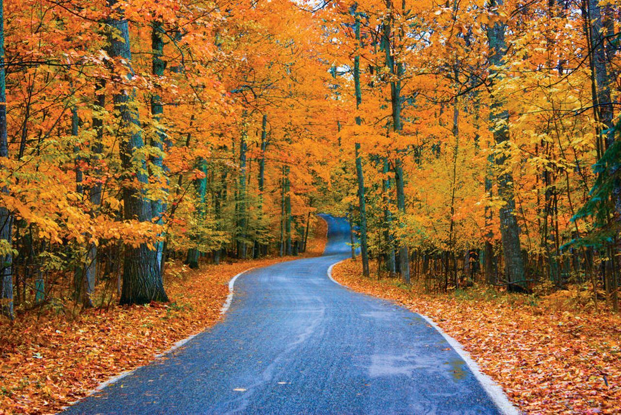 A winding road surrounded by trees with vibrant autumn foliage in shades of orange and yellow.