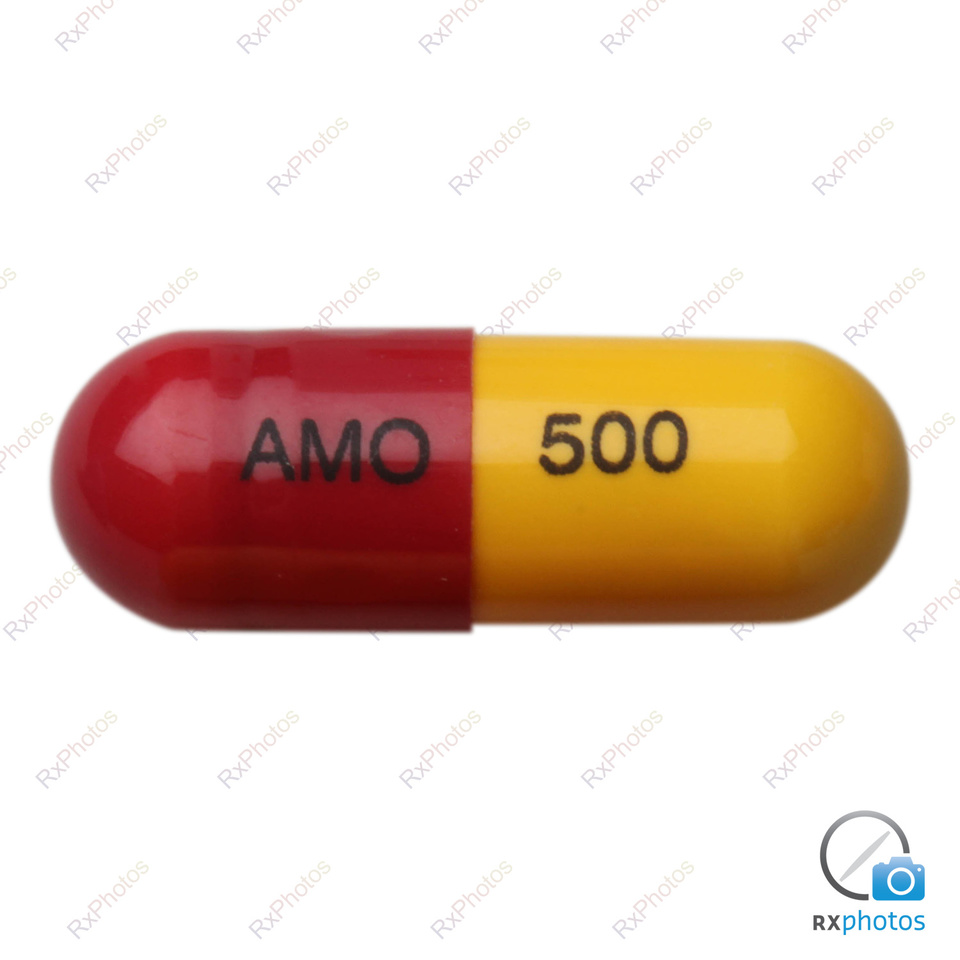 Ag amoxicillin capsule 500mg