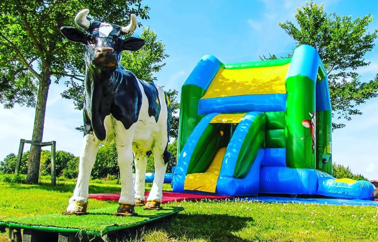 Verhuur Springkussens | BSH Partyservice