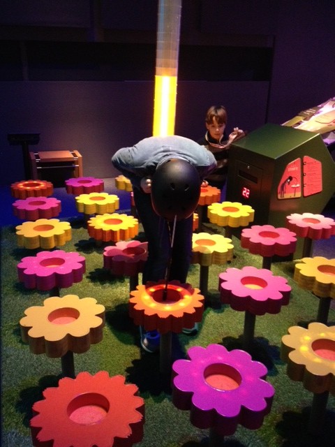 Nectar slurpen als een bij