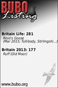 Record, share and compare with BUBO Listing at www.bubo.org