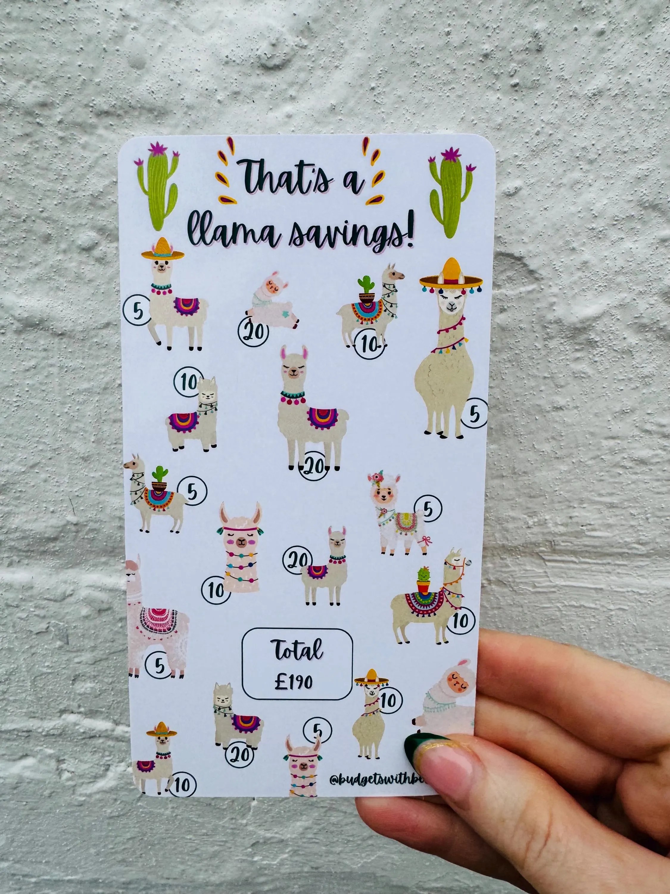 Llama Saving Challenge Budgets With Beth
