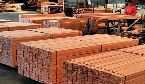 harga eksport kayu mahoni