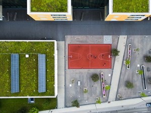 Eco-Friendly Strategies for Property Managers