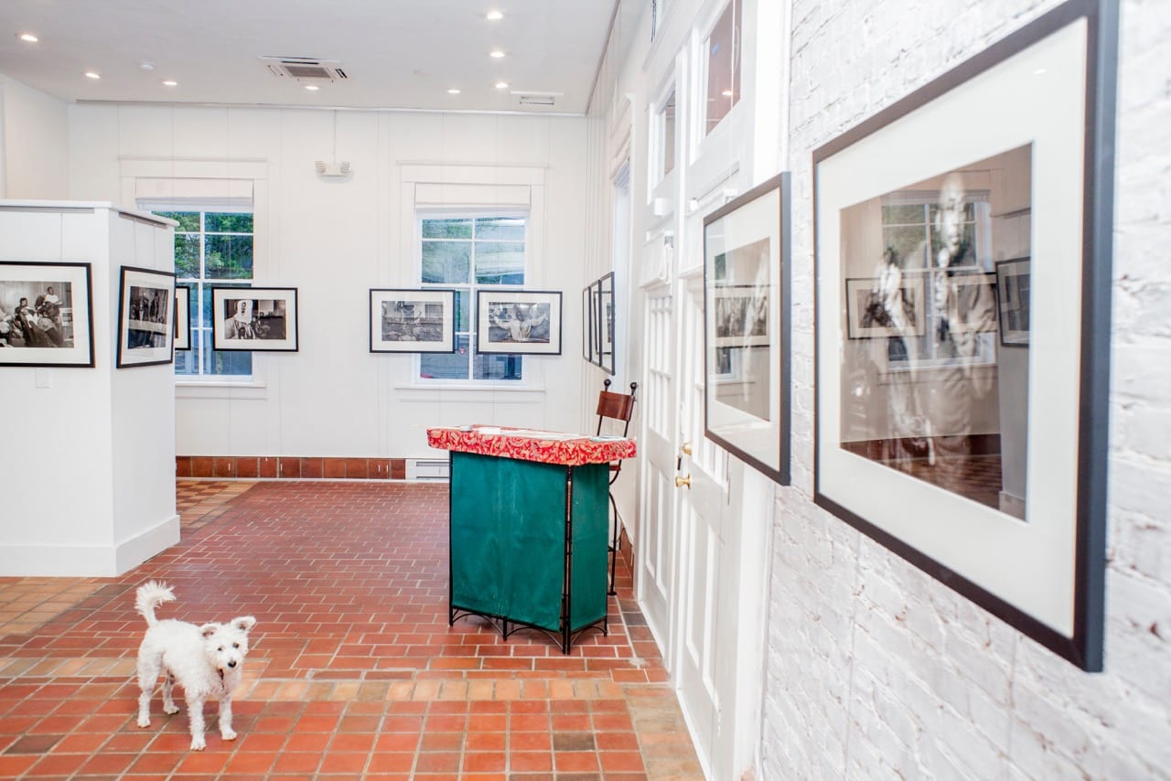 gallery7