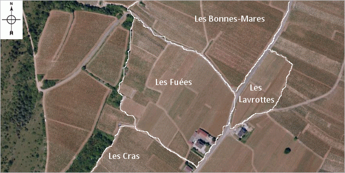 fuees-vineyard fuees-vineyard