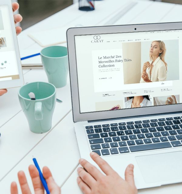 Hire Ecommerce Developers Custom Ecommerce Development Services - Desktop Minimal Illustrations for Desktop