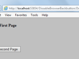 Disable Browser Back Button