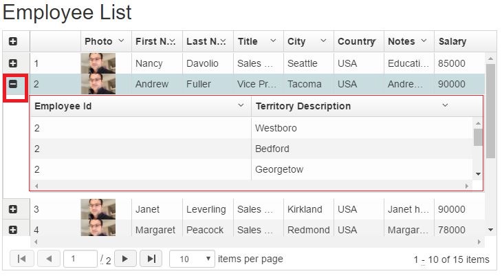 Custom Scroll In Angularjs Ui Grid With Web Api - Light Design Collection - Retina Quality