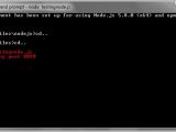 Install And Run A Nodejs Application