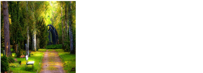 Jquery Event Toggle Method - Premium Nature Picture Gallery - Mobile