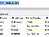 Optional Parameters In Sql Server