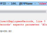 Optional Parameters In Sql Server