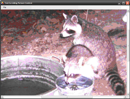 Scrollable Picturebox Custom Control In Vb Net - Sunset Designs - Gorgeous HD Collection