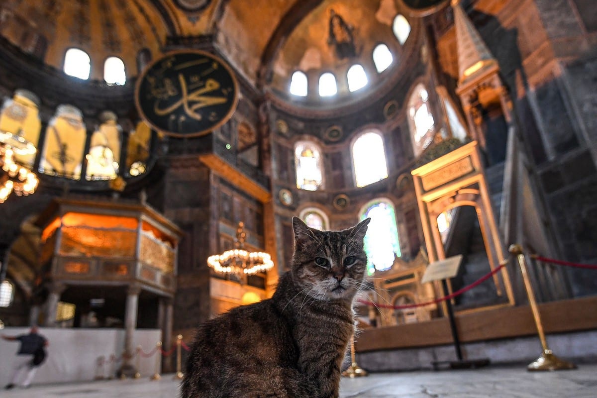 Turkey oo masaafurinaya nin Japanese ah oo arrin yaab leh dalkaas ka sameeyey