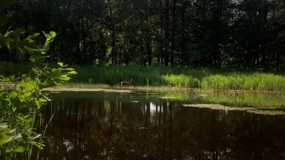 Treinstapper Zonhoven - Hasselt