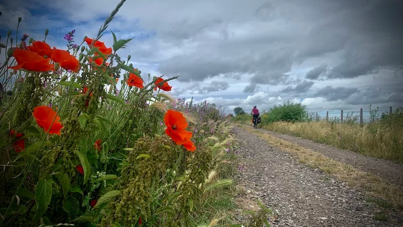 Fietsen naar Londen