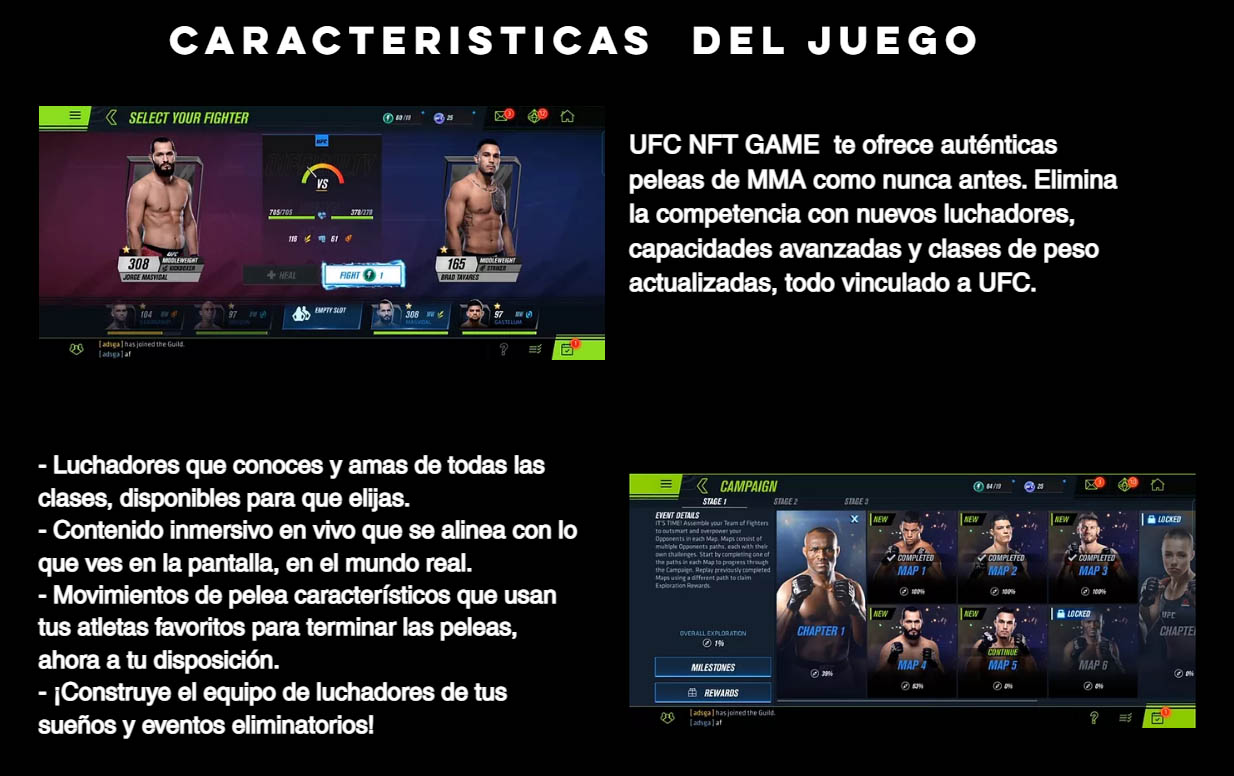 Master Maverick Estafa UFC token