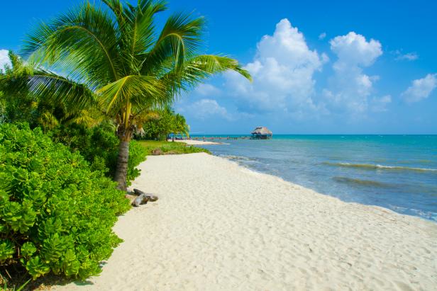 34+ Best Belize Wedding Destinations : Chiquibul National Park, Cayo District - With the spectacular scenery, nature’s beauty does the job for free.
