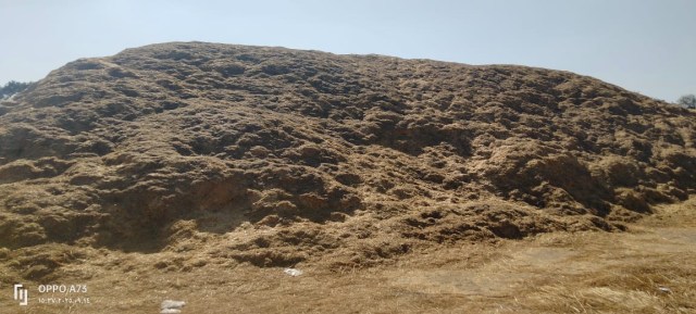 Rice straw