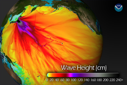A tsunami advisory has been issued saturday for the coastal bay area and santa cruz, the national weather service weather forecast office . Japanese Earthquake & Tsunami | California Academy of Sciences