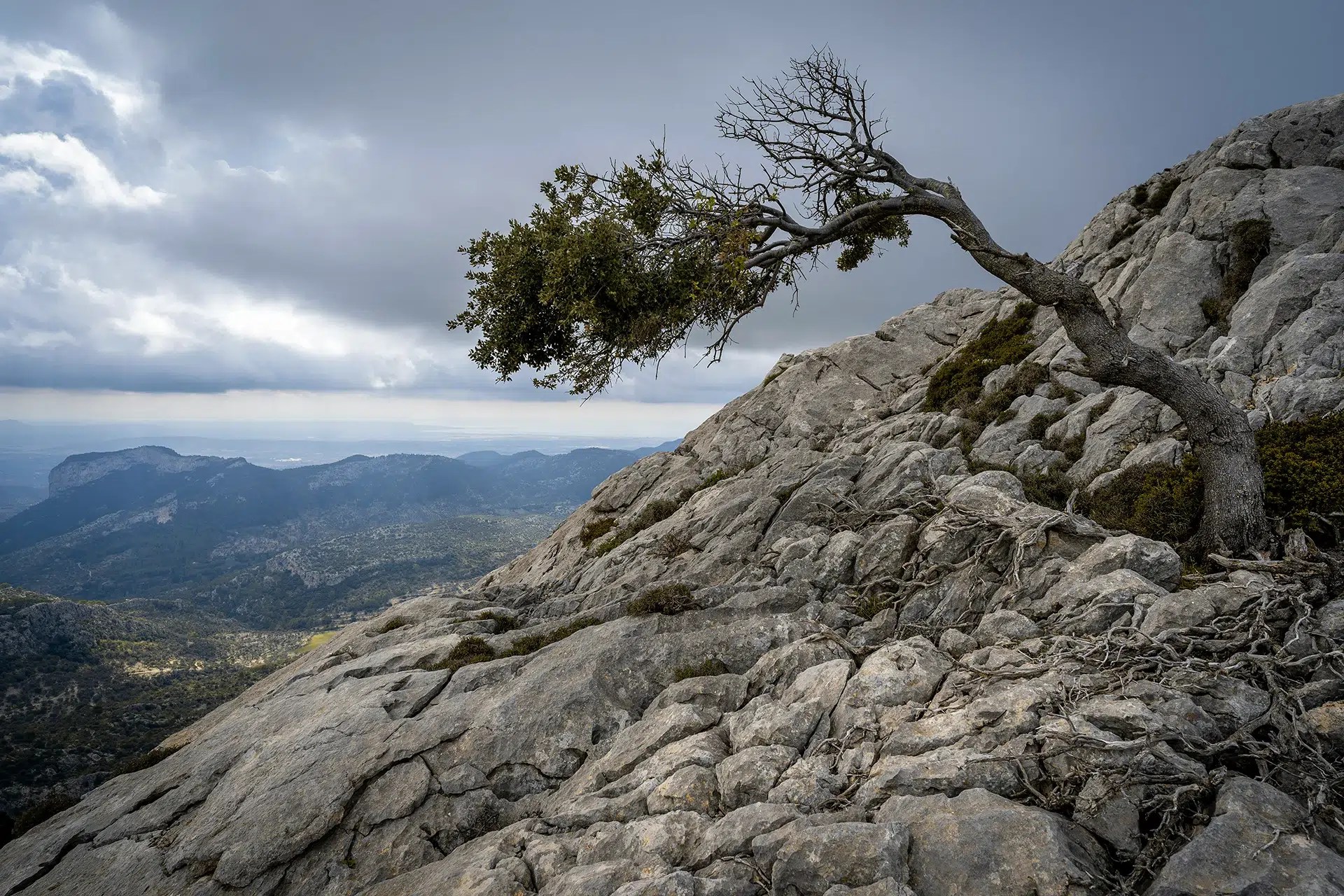 living the legacy of your struggle - overcoming adversity