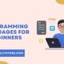 Easiest Programming Languages To Learn, 53% OFF