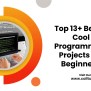 Top 13+ Best & Cool Programming Projects For Beginners