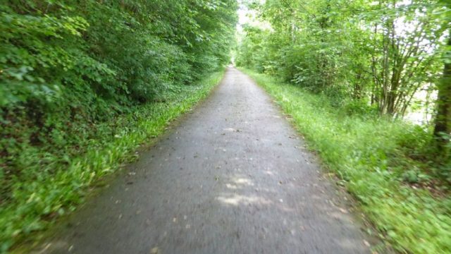 1020873-01_resized_0.jpeg