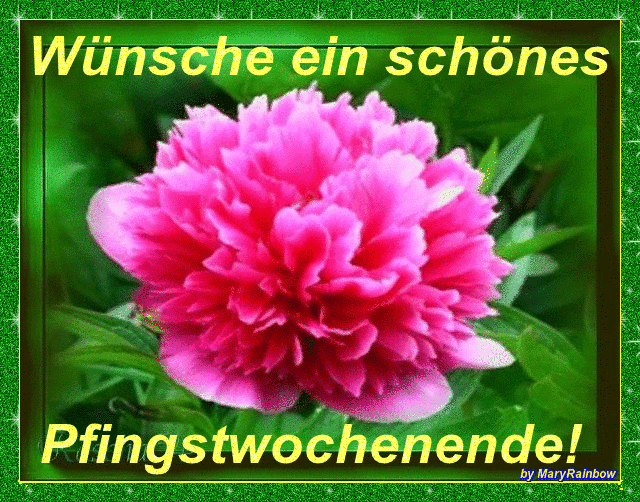 Whatsapp Schöne Pfingsten / Schild Frohe Pfingsten Mit Pfingstrosen Stock Photo Adobe Stock