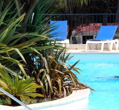 Le Pin D Alep Bormes Les Mimosas Tourisme