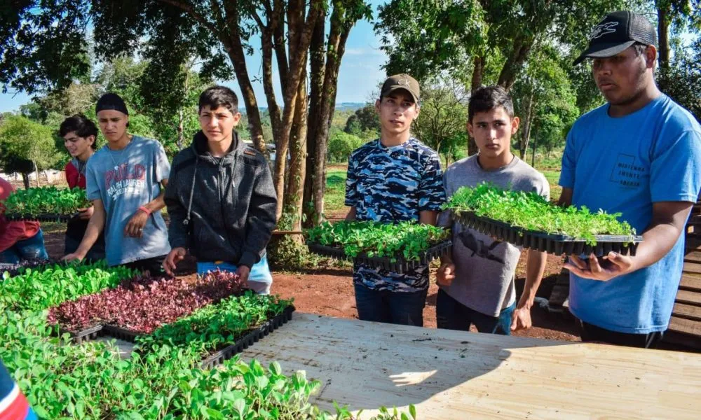 efas chacras multiproductivas