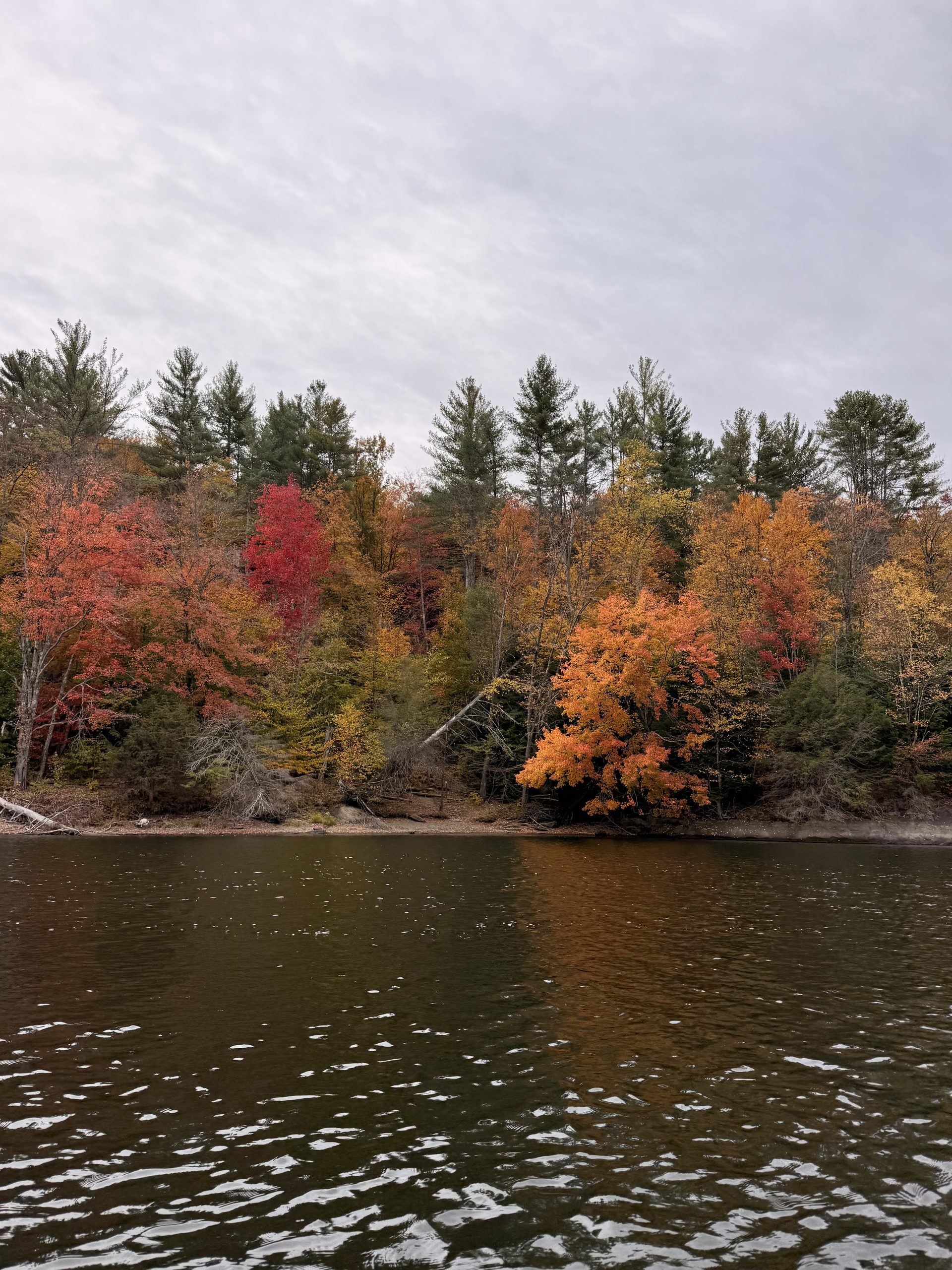 Vibrant red, orange, and golden autumn foliage lines the wooded shoreline, reflecting in the rippling water.