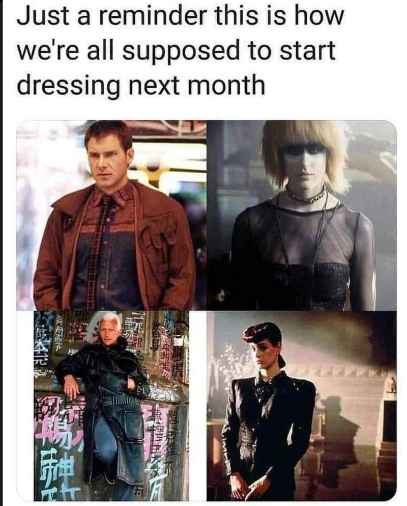 Any Joke Experts Here Mind Explaining This Scrolller - Premium Mountain Background Gallery - 4K