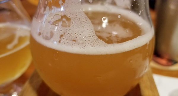 Most of the breweries on Cape Cod allow dogs in outside areas where beer is consumed, but usually local rules prohibit pets from areas where food is being prepared.