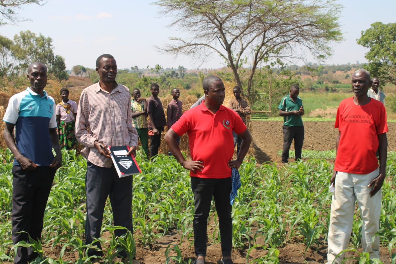 Kadzanja reaffirms commitment to combating food insecurity in Ntchisi