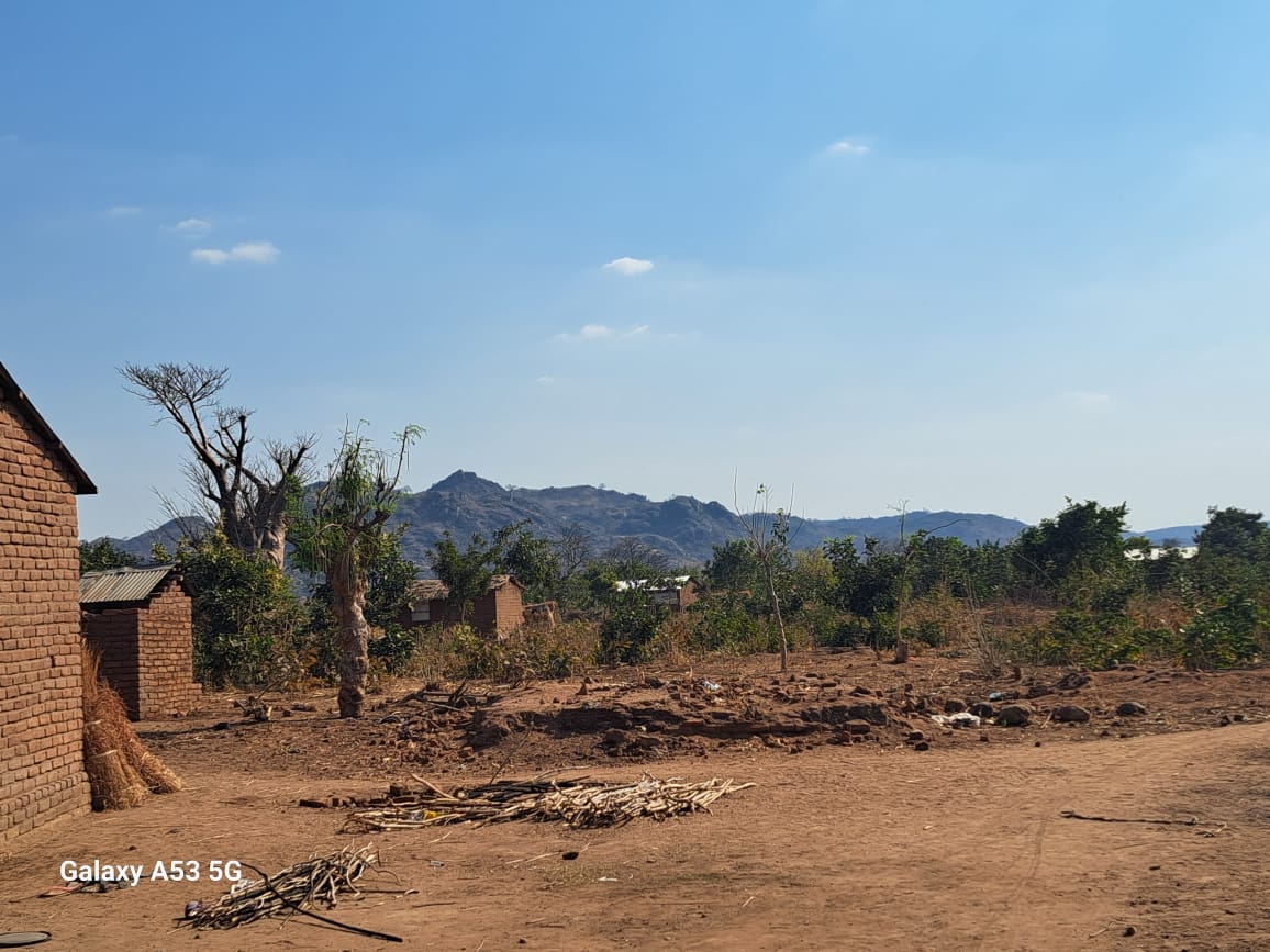 Kudzigulira malo’s cost: Nambande in peril