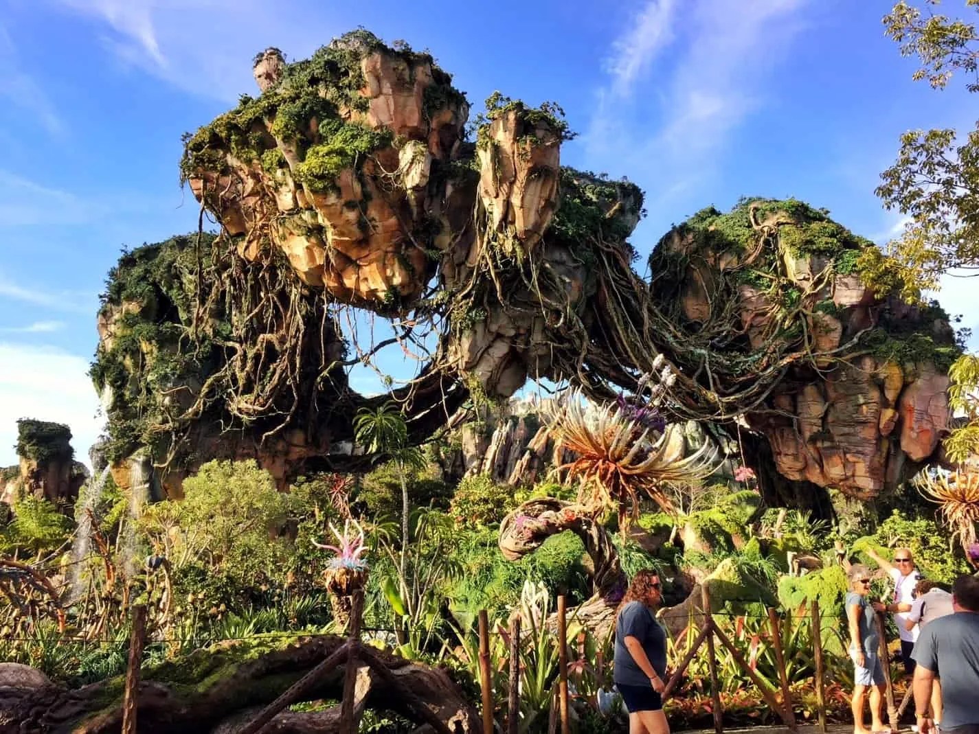 The 8 best rides at animal kingdom