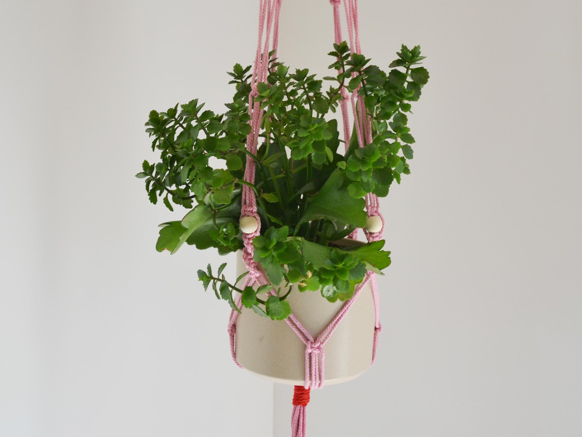 Suspension pour plante en macramé rose