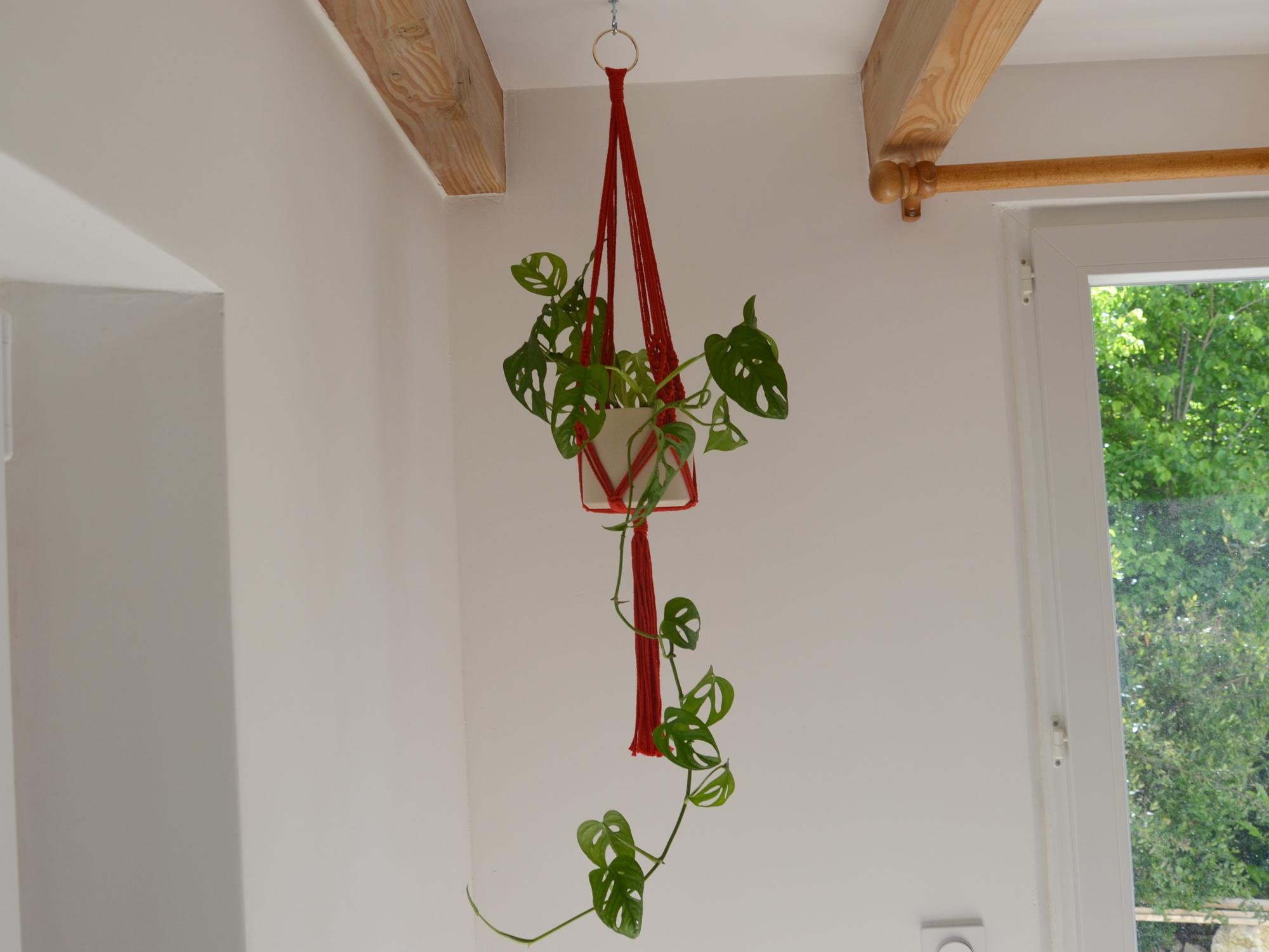 Suspension pour plante en macramé rouge tressé