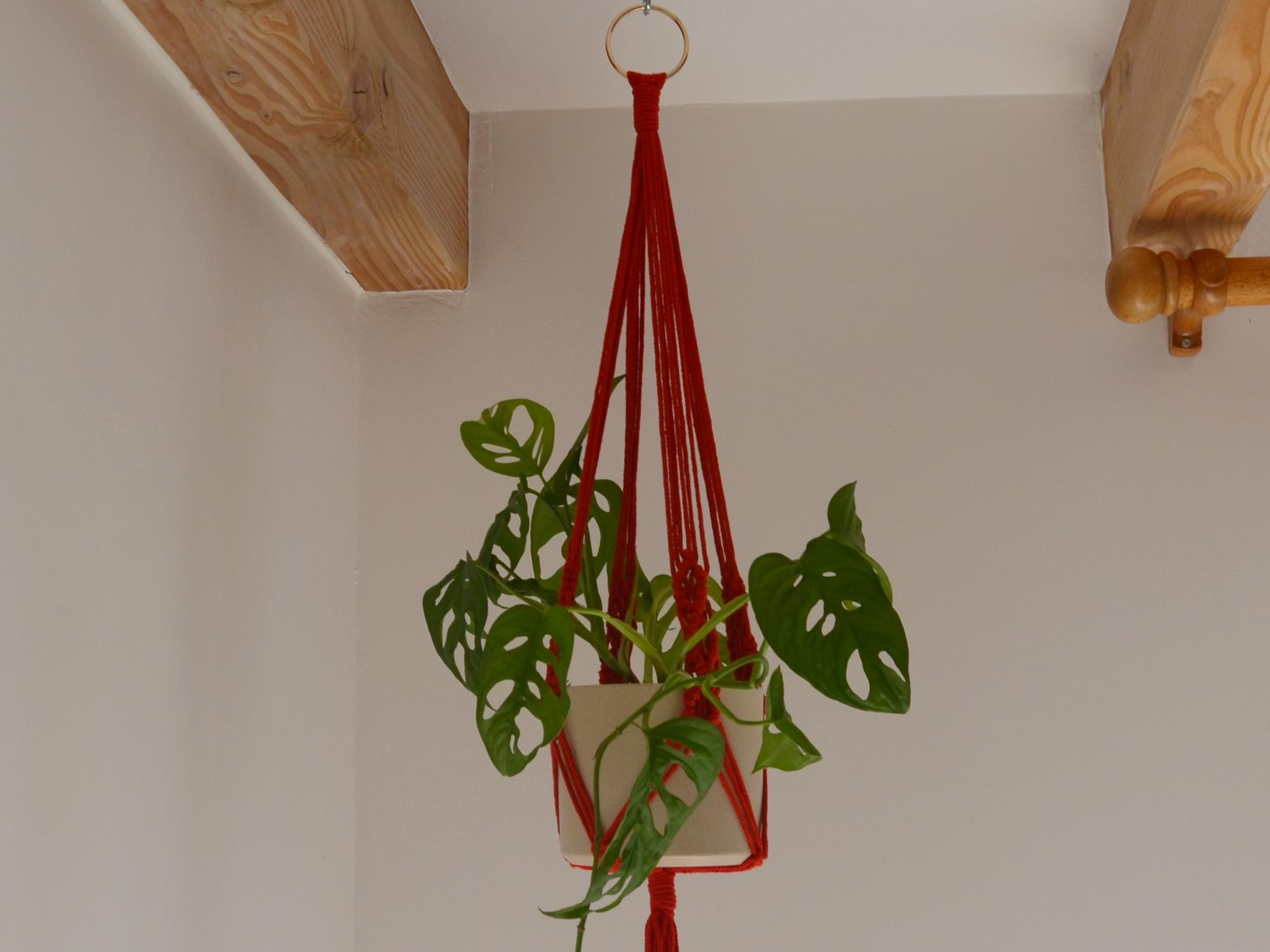 Suspension pour plante en macramé rouge tressé