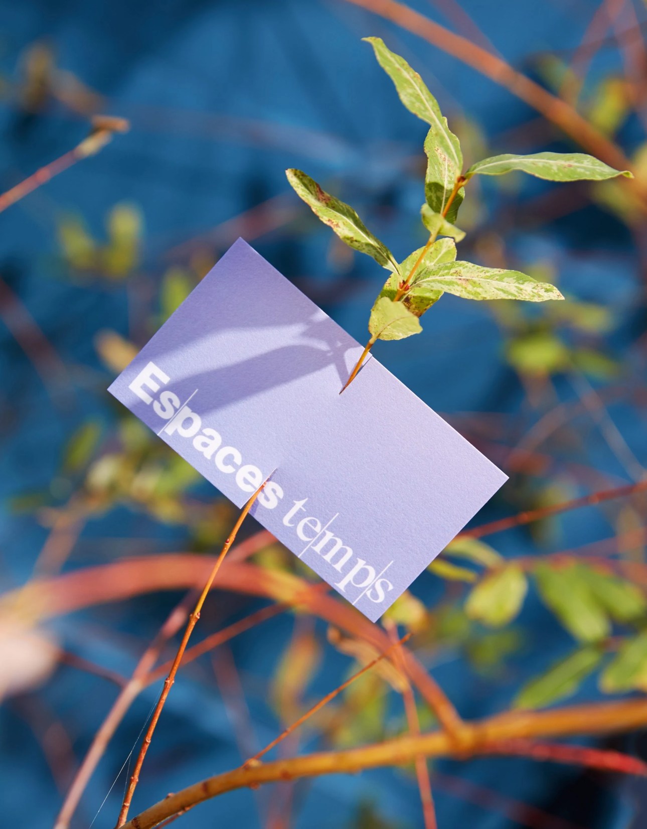 EspacesTemps_business card