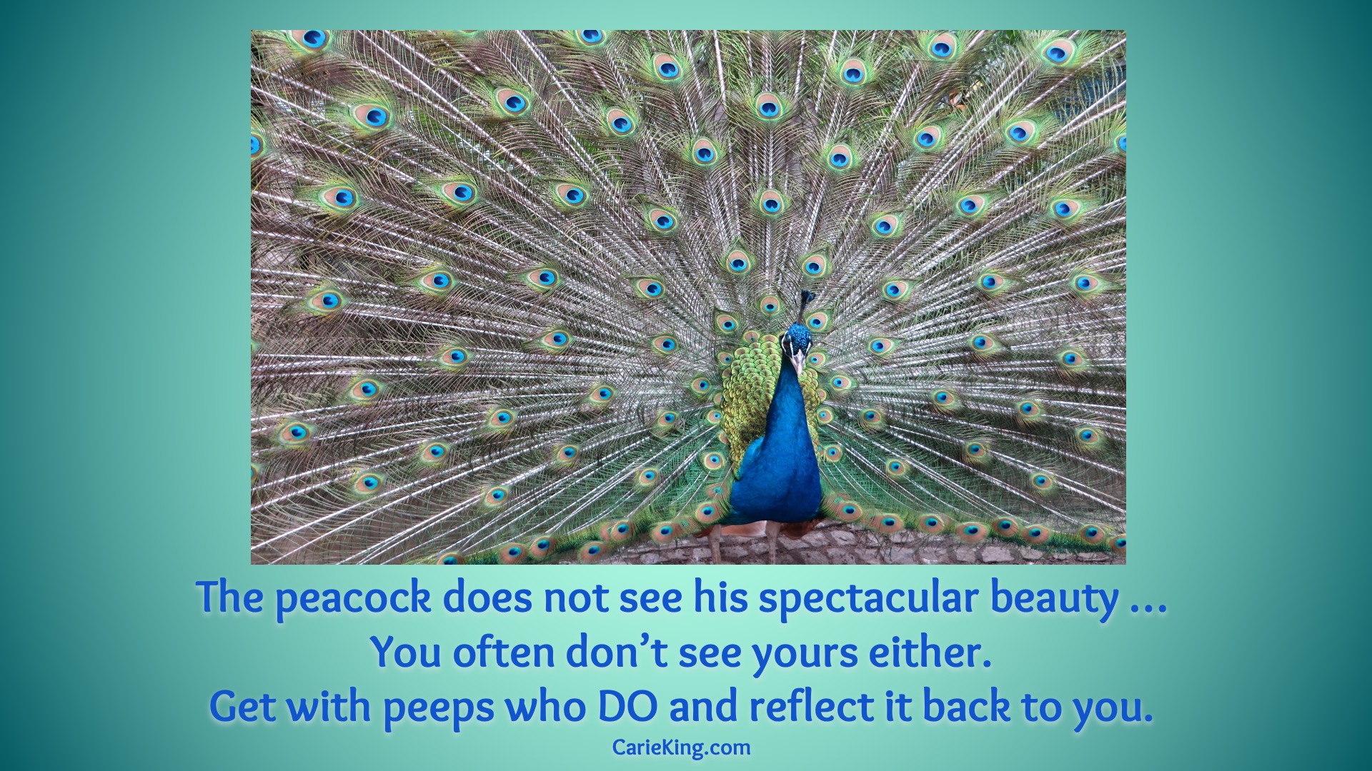 Read more about the article Beauty