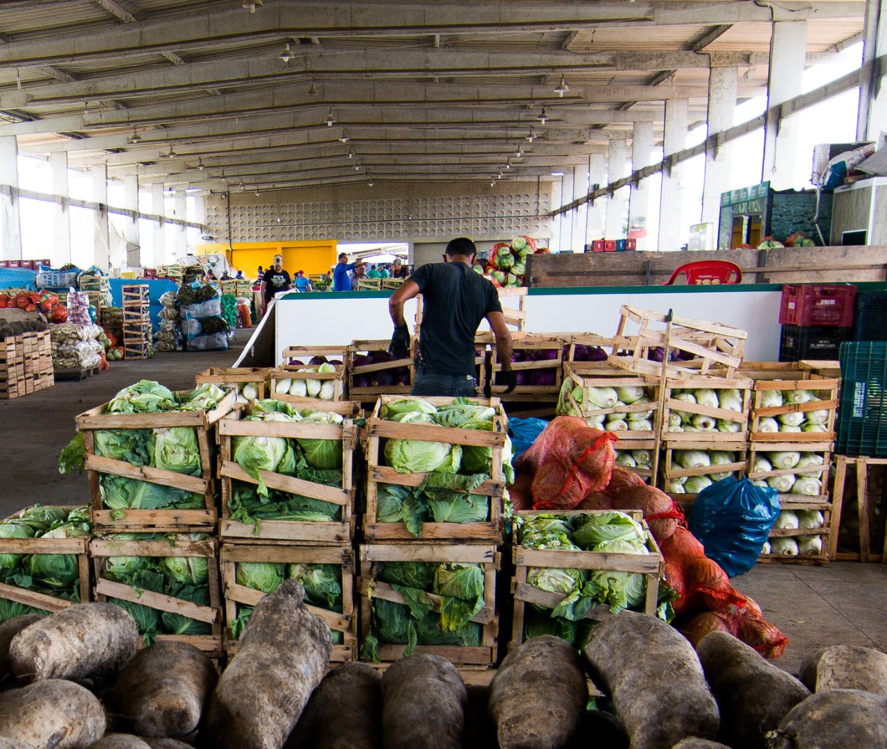 Ceaca continuará em funcionamento durante o período de medidas mais rígidas, porém com restrições